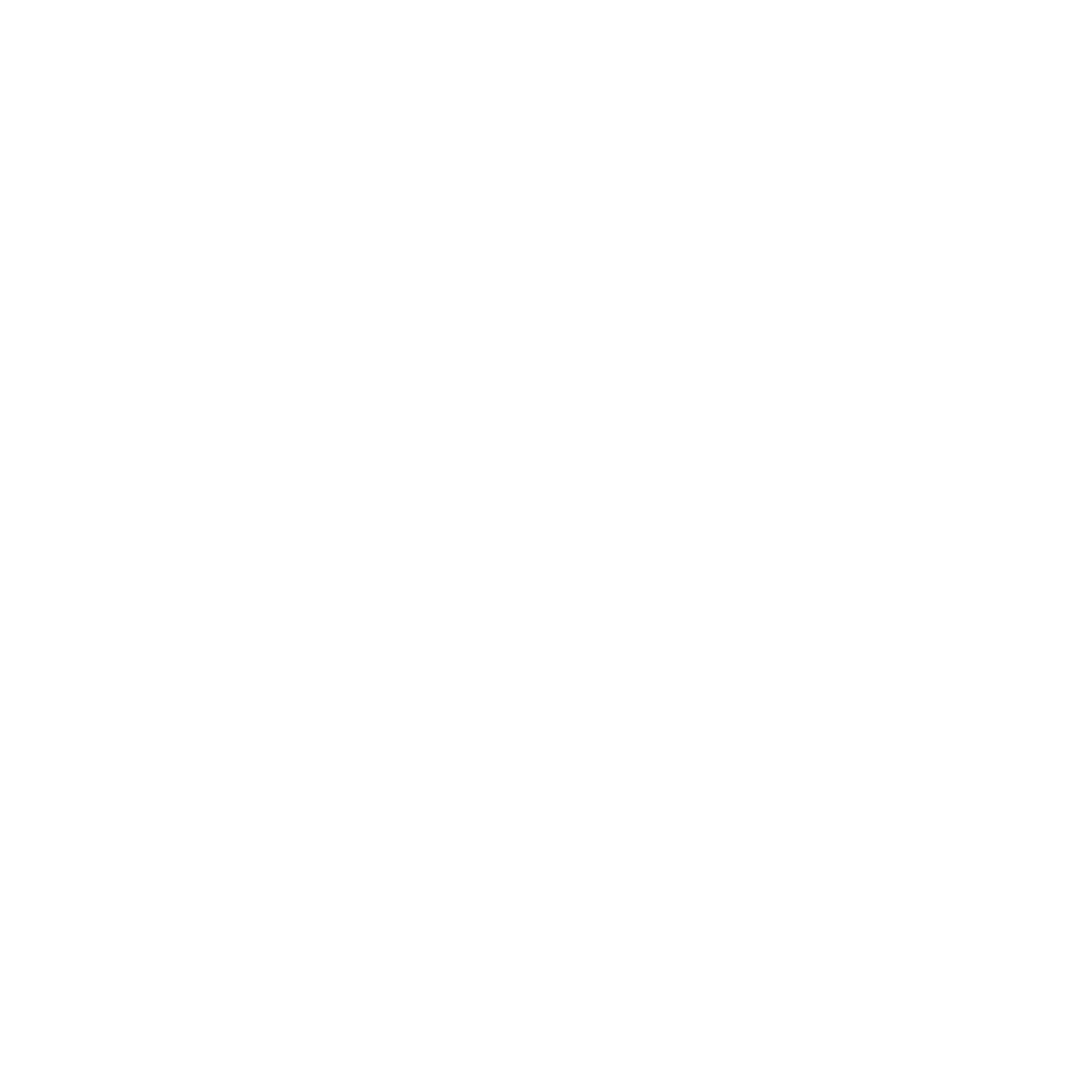 A car with a plug